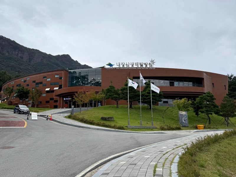 한국보육진흥원, ‘보육교직원 숲 치유 프로그램’시범 운영