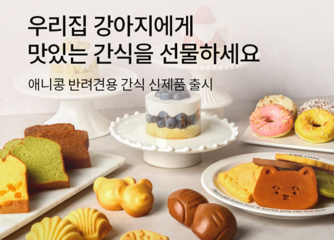 펫푸드 전문 애니콩, 현대백화점과 협업으로 수제간식 선보여