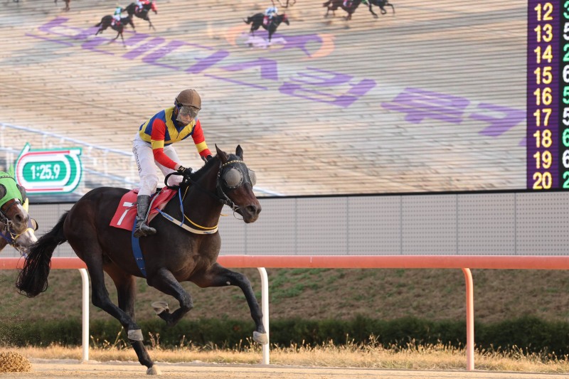 브리더스컵 루키 우승마 아쿠아라인과 조인권 기수