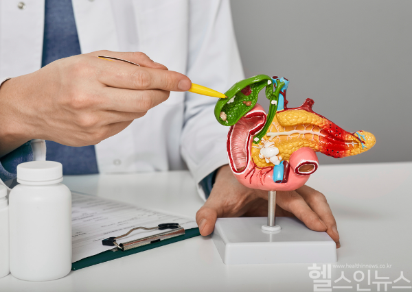 전체 암 질환 중 생존율이 매우 낮은 편인 췌장암. 장기 위치 상 조기 발견이 어려워 침묵의 암이라 불리는 만큼 위험인자 있다면 정기검진으로 관리해야 (클립아트코리아)