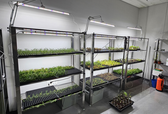 '산소삽목기' 기후변화, 병충해 최소화한 묘목 생산 기술로 사용자 만족도 높아