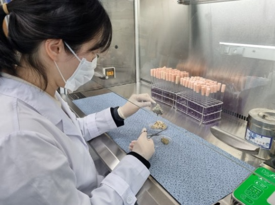 노로바이러스 검사. ⓒ 광주시