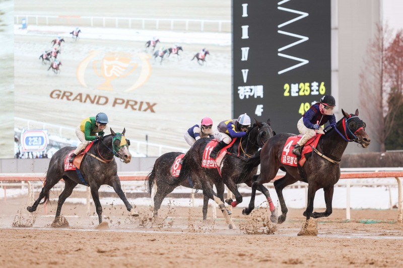 그랑프리 우승의 주인공 경주마 글로벌히트와 김혜선 기수 결승선 통과