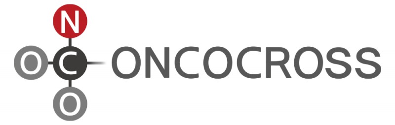 (온코크로스 제공)