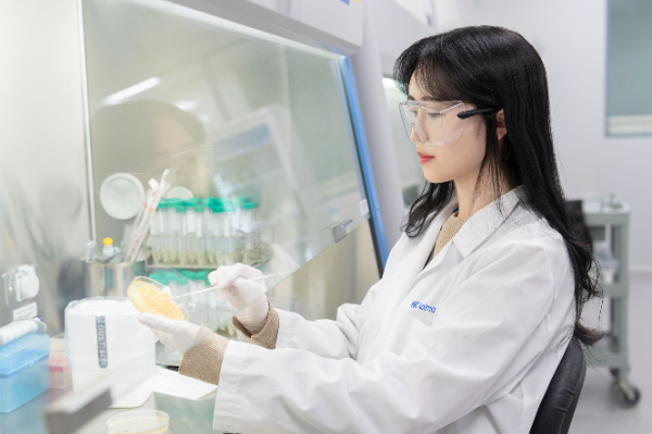 한국콜마 연구원이 미생물 균주를 배양하고 관찰하고 있다