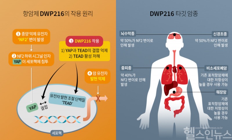 DWP216의 작용 원리와 타깃 암종 (대웅제약 제공)