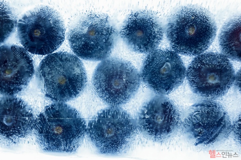 신선한 블루베리를 즐기고 난 후 잘 얼려서 보관하면 좋다. (클립아트코리아)