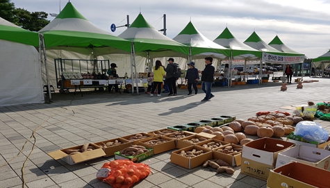 2024년 직거래장터 운영