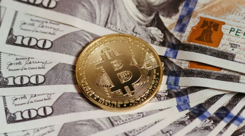 (상보) 인터랙티브 "비트코인 붕괴 큰 리스크로 부상...증시전반 하락 촉발"