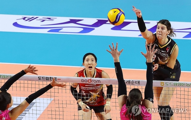 스파이크하는 부키리치