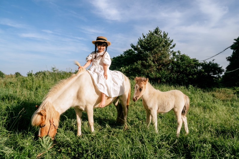 (우수상)배영진-함께 그리고 동행