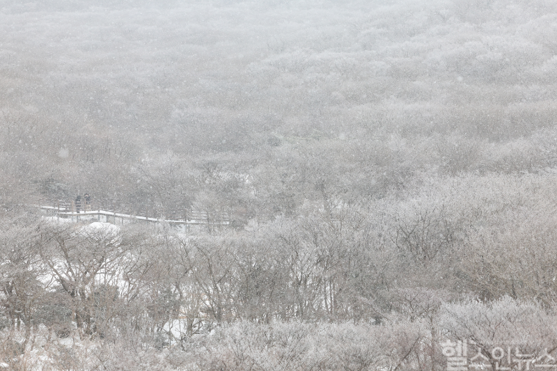 대설특보가 내려진 18일 오전 제주 한라산 1100고지를 찾은 관광객이 겨울 정취를 만끽하고 있다. (연합뉴스 제공)