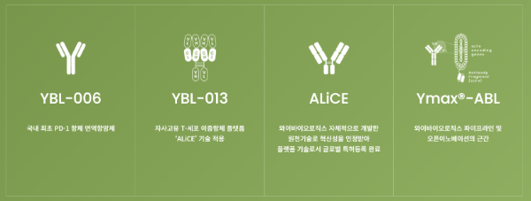 내년에도 기술이전 가능할까…와이바이오로직스, 눈여겨볼 파이프라인은