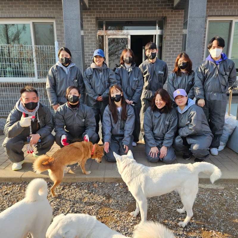 대주펫푸드, 연말 맞이 유기동물보호소 사료 및 간식 총 1톤 기부 및 봉사활동 진행