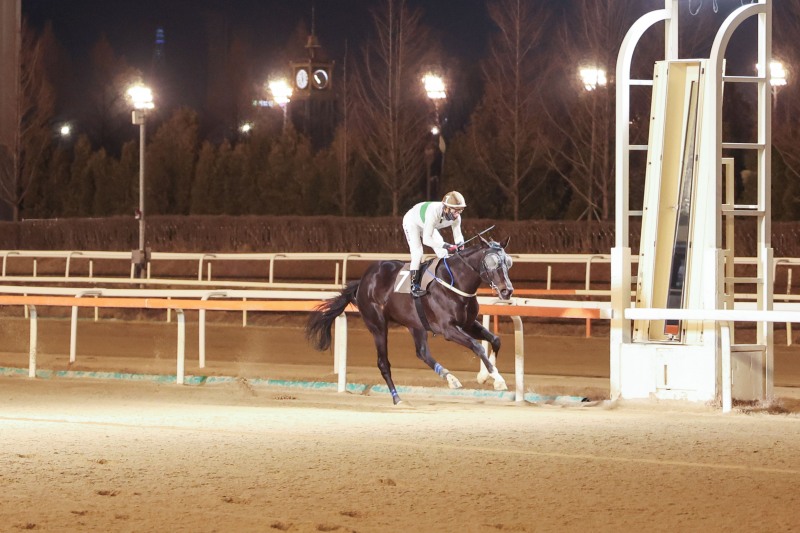 24년 마지막 경주 우승의 티즈바로우즈와 마이아 기수 결승선 통과