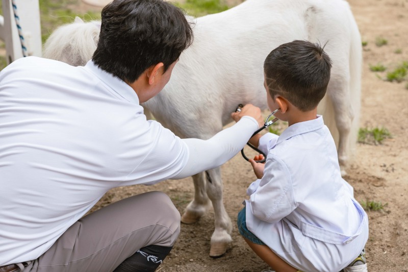 학습형 말산업 직업체험(말수의사)