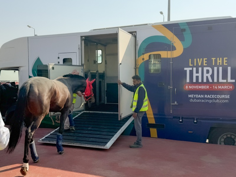 1월 9일 두바이 알 막툼 국제공항 도착 후 메이단 경마장으로 이동하는 글로벌히트
