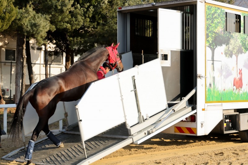 1월 8일 렛츠런파크 서울에서 인천국제공항으로 이동하는 글로벌히트