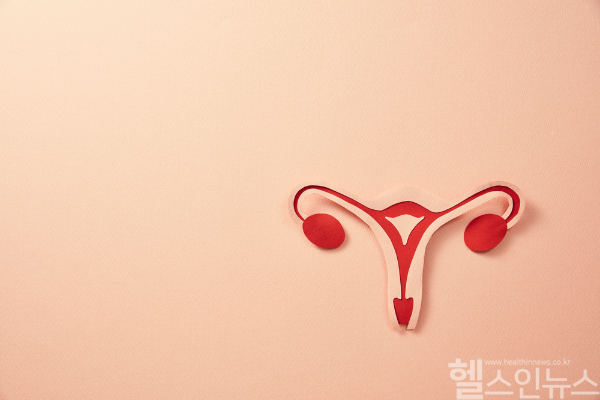 암질환에 중 자궁경부암은 예방 백신 접종으로 예방할 수 있는 암에 속한다. (클립아트코리아)