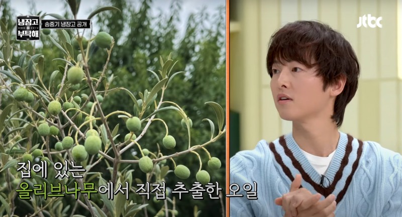 송중기는 자신 직접 키운 올리브로 오일을 추출해 요리에 쓰는 것에 자부심을 느낀다고 밝혔다. (JTBC 예능 프로그램 '냉장고를 부탁해 since 2014' 캡처)