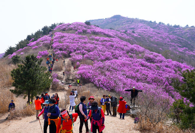 영취산. ⓒ 여수시