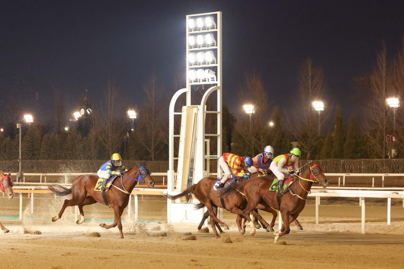 25년 1월 12일 첫 1등급 경주 우승한 빈체로카발로와 조재로 기수