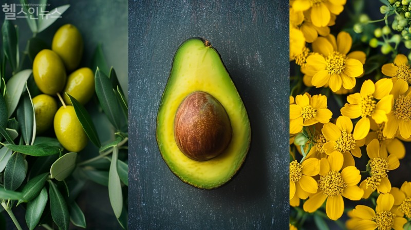 세 가지 식용유 모두 나쁜 콜레스테롤 수치를 낮춰 심혈관 질환 예방에 기여한다. (AI생성이미지)