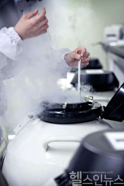 난자 냉동 관련 이미지 (마리아병원 제공)