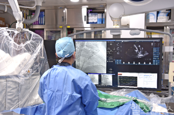 박영준 연세대학교 원주세브란스기독병원 심장내과 교수 시술 현장 (원주세브란스기독병원 제공)