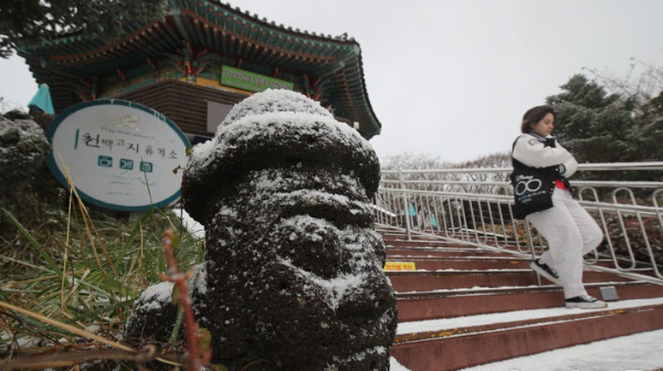 지난해 11월27일 오전 한라산국립공원 1100고지휴게소에 눈이 내려 쌓여있다.