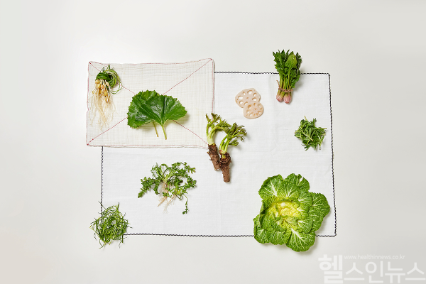 5가지 매운 맛을 가진 것으로 알려진 대표적인 봄나물들. 각 나물들이 가진 건강 효능들에 대해 알아봤다. (클립아트코리아)