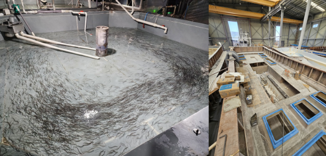 인천시, '수산업경영인 육성사업' 지원대상자 모집