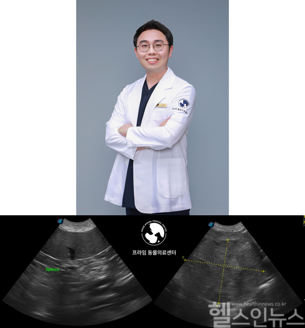 (위) 황호준 프라임동물의료센터 원장 (아래) 비장종양 관련 이미지 (프라임동물의료센터 제공)