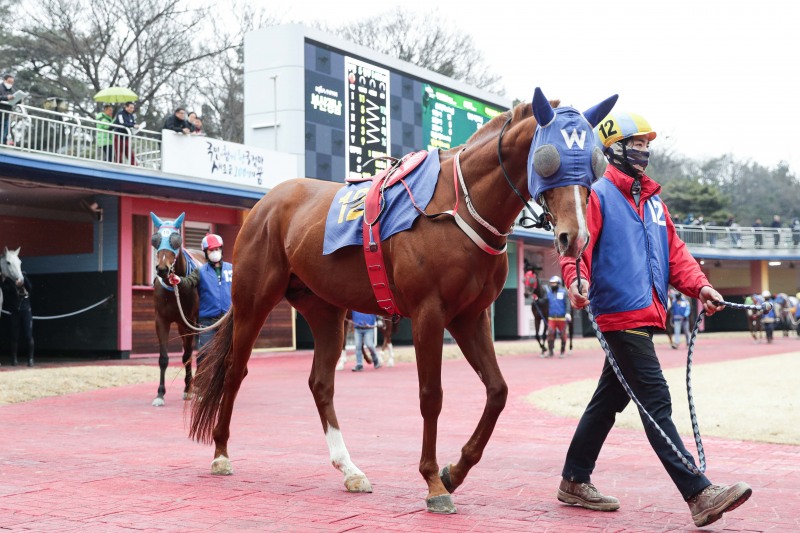 한파 속 뜨거운 질주, 렛츠런파크 2월의 첫 1등급 경주 우승후보는?