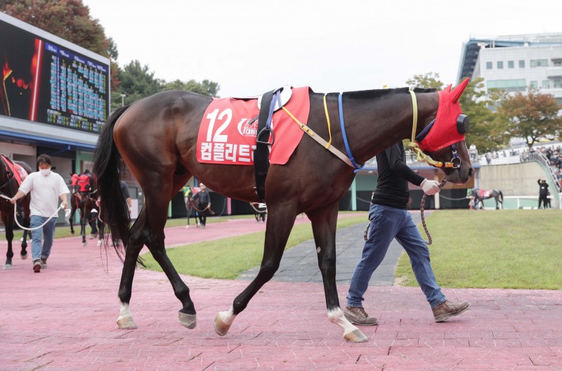 한파 속 뜨거운 질주, 렛츠런파크 2월의 첫 1등급 경주 우승후보는?