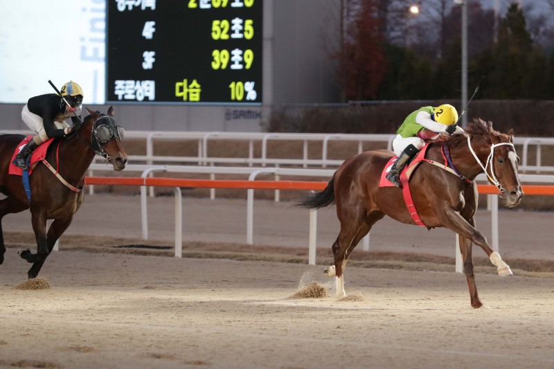 21년 11월 28일 대통령배 우승한 심장의고동과 문세영기수
