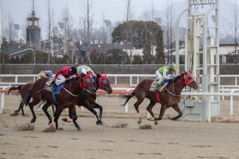 20년 1월 19일 세계일보배 우승한 심장의고동과 박태종기수