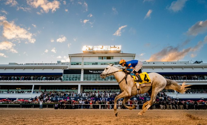 페가수스 월드컵(G1) ‘화이트아바리오’ 우승, 국내 씨수말로 활동 중인 부마 ‘레이스데이’ 교배권 전쟁 예상