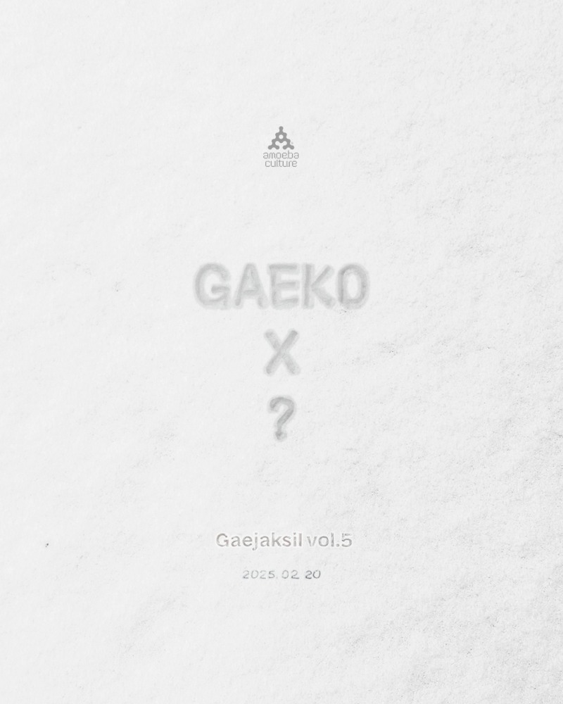 다이나믹 듀오 개코, 20일 3년 만에 ‘개작실’ 프로젝트 신곡 발매 확정…듀엣 파트너 누구?