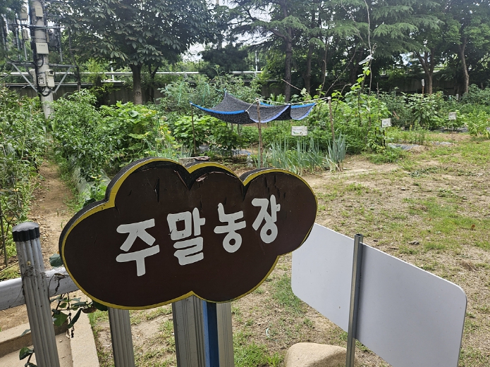 2025년 주말농장 무상 분양 실시