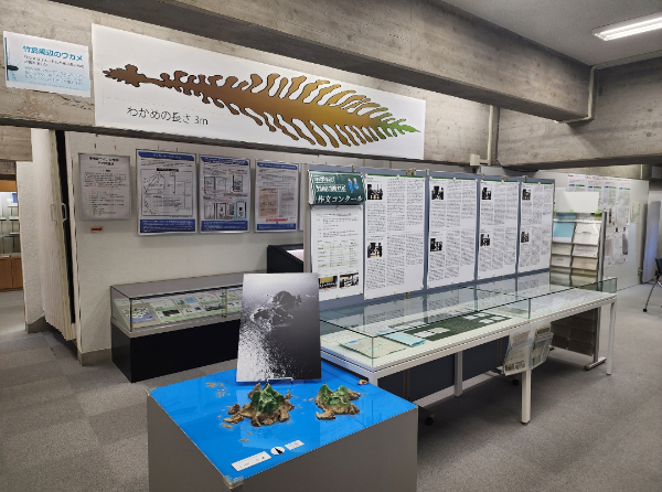 시마네현청 내 다케시마 자료실