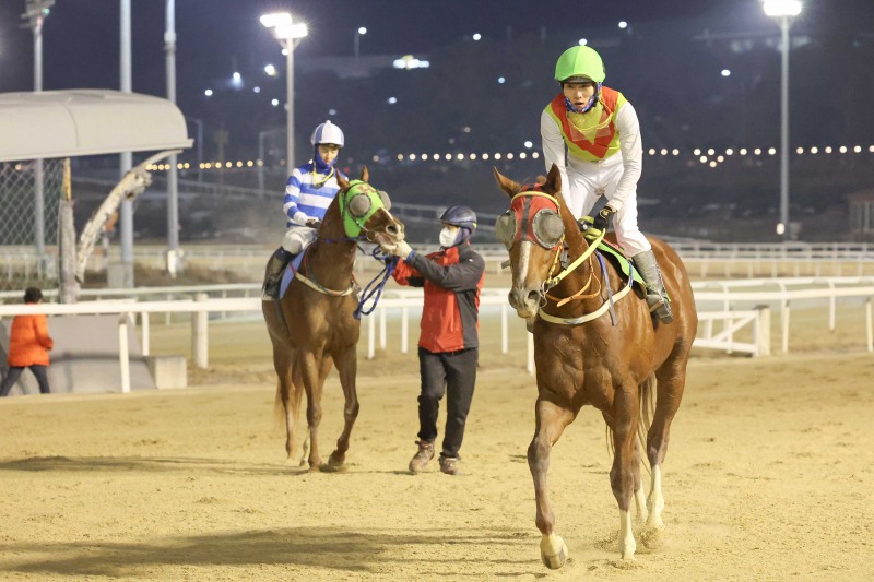 25년 1월 12일 신년 첫 1등급 경주 우승마 빈체로카발로