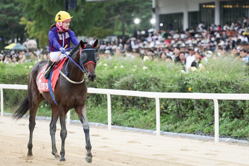24년10월13일 대통령배 우승한 글로벌히트와 김혜선 기수