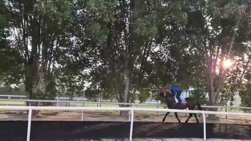 두바이 메이단에서 훈련중인 글로벌히트 모습