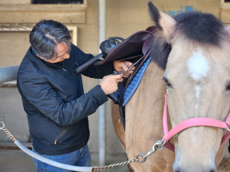 장안하고 있는 실버 힐링승마 참여자