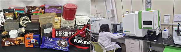 수거한 코코아가공품 및 초코렛류와 식품의약안전처 연구원이 중금속 안전성 검사를 실시하고 있다. (인천시청 제공)