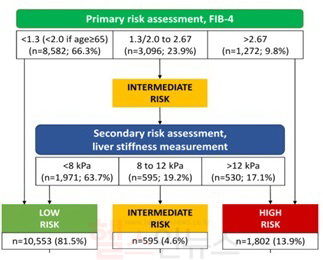 MASLD 환자군 분류 (세브란스병원 제공)