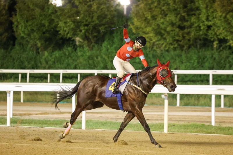 4년9월7일 문화일보배 우승마 실버레인