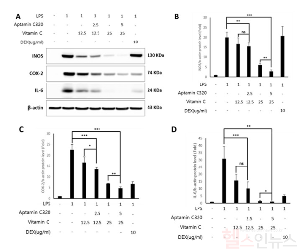 넥스모스 항염증 비교실험결과 SCI급 국제학술지 ‘바이오케미스트리 앤 바이오피직스 리포트’에 발표 (넥스모스 제공)