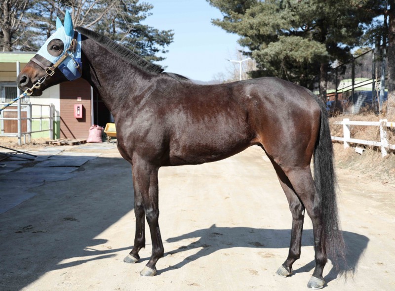 4연승 기록중인 용암세상